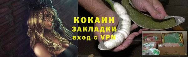 дживик Бикин