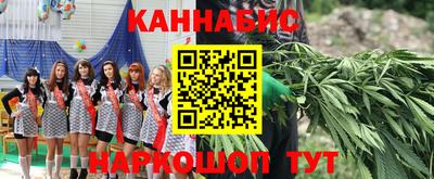 твердый Гатчина