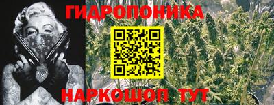 ешки Гагарин