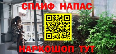 твердый Гатчина
