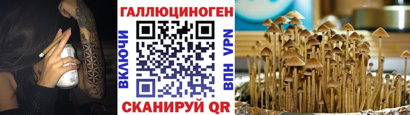 Галлюциногенные грибы ЛСД  KRAKEN как зайти  Чернушка  магазин   