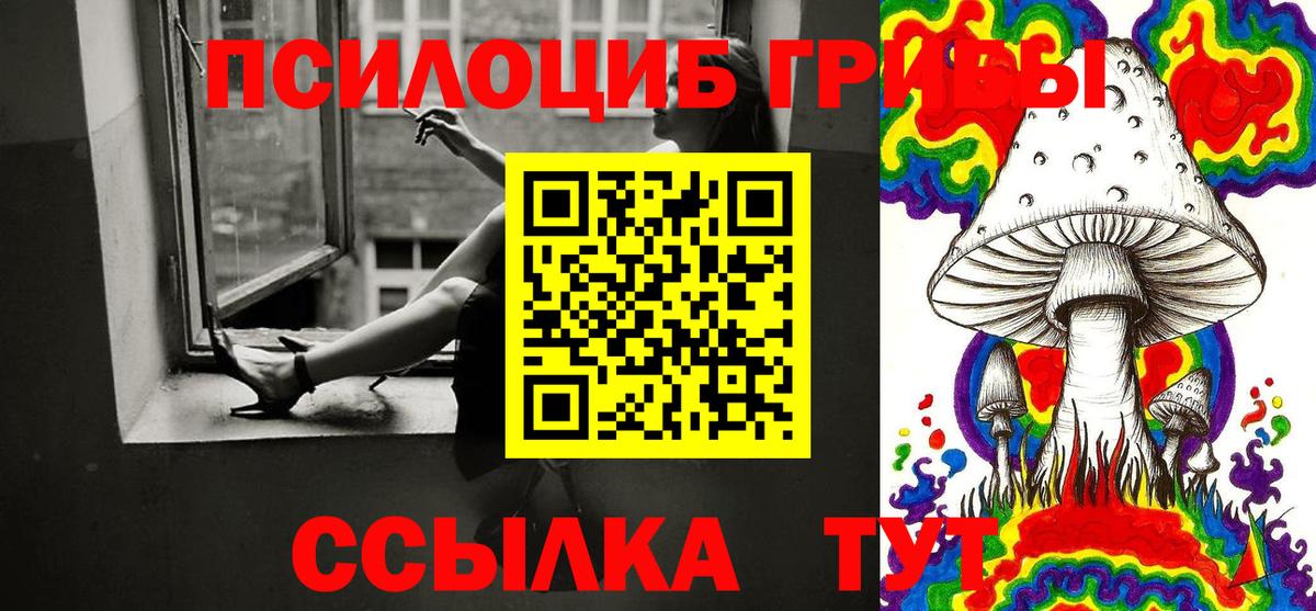 Псилоцибиновые грибы прущие грибы  Галлюциногенные грибы MAGIC MUSHROOMS  Чернушка  Вход с VPN 