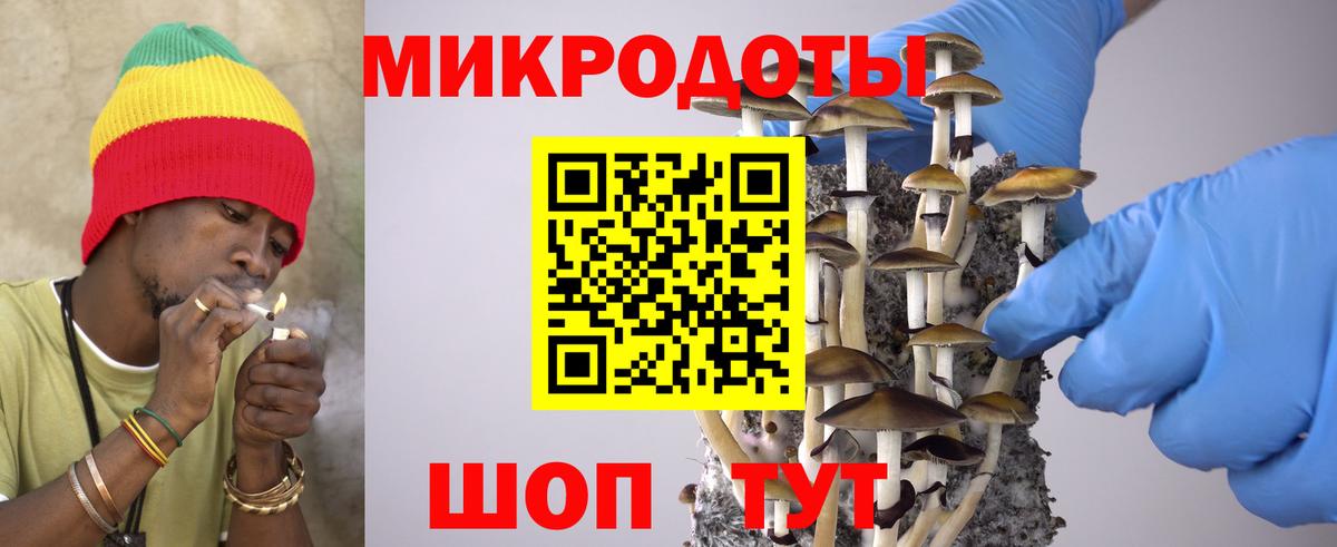 Галлюциногенные грибы мицелий Чернушка