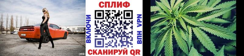 Марихуана White Widow  купить   Чернушка 